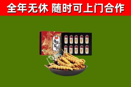 平乐县回收冬虫夏草价格
